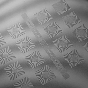 RPC PHOTONICSW(xu)ԪɢƬ΢͸Ruλ